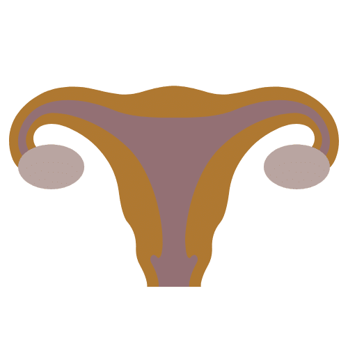 Fertilitet