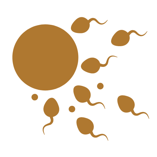 Fertilitet og akupunktur